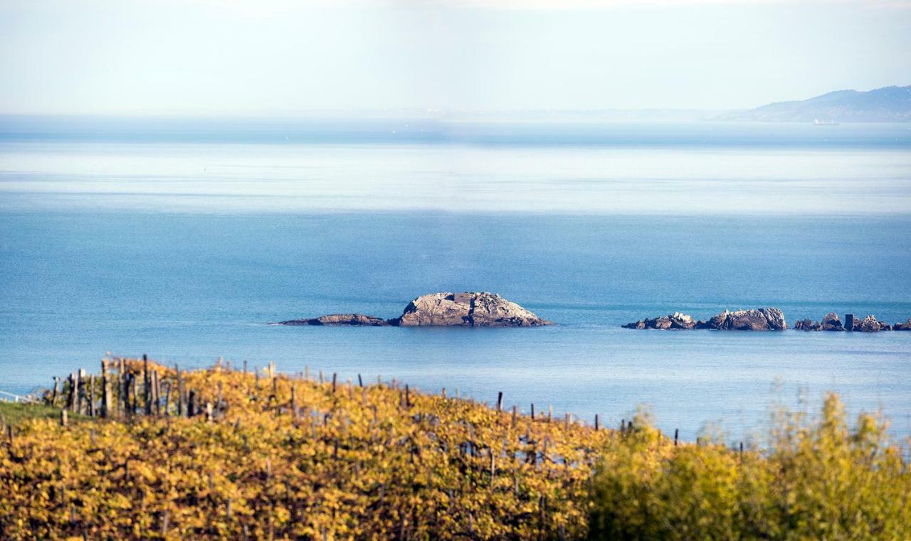 Aterian Pilartxo Enea Διαμέρισμα Zarautz Εξωτερικό φωτογραφία